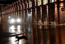 Жанровая фотография. Похолодание в Москве