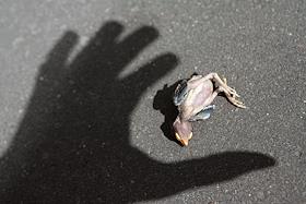 Одежда в бутике Juicy