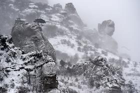 Жанровые фото зимнего  Крыма