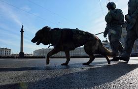 Репетиция военного парада в честь 76-й годовщины Победы в Великой Отечественной войне на Дворцовой площади