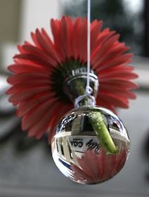 Интерьер ресторана 'Polly Сад'. и Летняя веранда