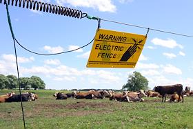 Фермы в Подмосковье