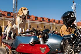 Ежегодная акция The Distinguished Gentleman's Ride - всемирный благотворительный заезд на классических и кастомных мотоциклах, мопедах и скутерах