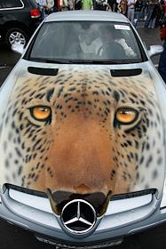 Выставка  живописи на автомобилях – Аэрограф 2007 в рамках фестиваля искусств АРТ - ПОЖАР. Ходынское поле