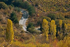 Жанровые фото.Осень в Крыму.Национальный парк 'Крымский'