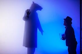 Жанровые фотографии. Повседневная жизнь Российских цирков