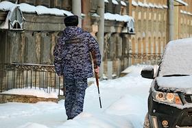 Жанровые фотографии