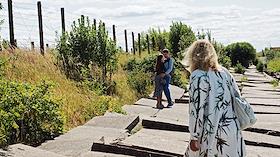 Жанровые фотографии. Виды Кронштадта