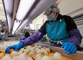 Комплекс по сушке овощей ООО «АПК Городищенский»