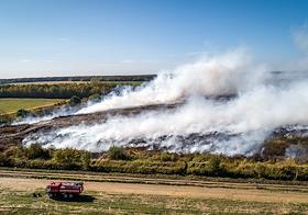 Лесной пожар в Тульской области