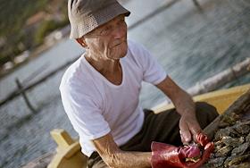 Хорватия. Плантация мидий