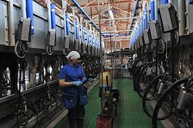 Жанровые фото на тему экономики