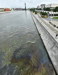 A slick of oil products with an area of ​​about 4.5 thousand square meters was noticed on the Moskva River near the Krymsky Bridge