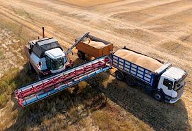 Сбор урожая пшеницы в Оренбургской области