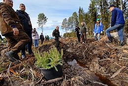 All-Russian action 'Let's save the forest - 2022' in the Zaklinsky rural settlement of the Luga region