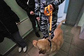 Работа сотрудников Следственного комитета (СКР) по Свердловской области в ЖК Бажовский, где, по предварительный данным, трое детей были убиты матерью