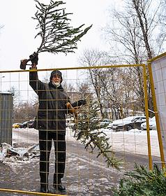Пункты приема новогодних елей в московских дворах в рамках акции 'Елочный круговорот'