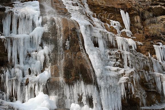 Жанровые фото. В Крыму из-за минусовых температур замерз самый высокий  водопад Учан-Су. По разным подсчетам он достигает от 98 до 115 метров, а в  Никитском ботаническом саду расцвели подснежники – Коммерсантъ Фото
