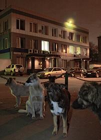 Здание 'Промсвязьбанка' по адресу Смирновская улица дом 10