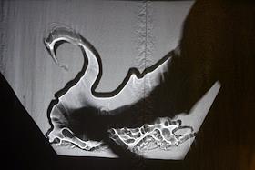 Cпектакль 'Метаморфозы' в рамках фестиваля 'Большая перемена' на сцене кукольного театра 'Тень'