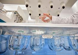 The work of the pharmaceutical company Renewal (JSC PFC Obnovlenie), which develops and manufactures medicines in Novosibirsk. Pharmaceutical Development Laboratory.