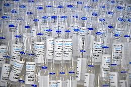 Production of vaccines in the Novosibirsk region. Ampoules with the Algavak vaccine for the prevention of viral hepatitis A at the JSC Vector-BiAlgam enterprise in the science city of Koltsovo, Novosibirsk Region