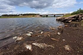 The situation at the Verkhnemakarovsky reservoir in the village of Kurganovo, Sverdlovsk region