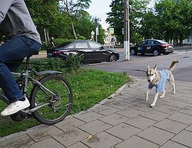 Главный военно-морской парад в честь Дня Военно-морского флота (ВМФ) России в Кронштадте