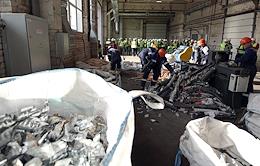 Expert tour of recycling enterprises as part of the first national forum of waste recyclers