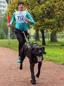 Благотворительный забег с собаками 'Необыкновенный кросс' в Полюстровском парке