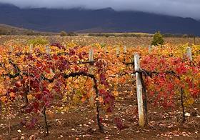 Жанровые фото