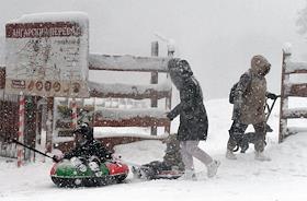 Жанровые фотографии. Аномальный снегопад в Крыму