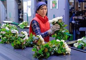 Тепличный комплекс 'Новая Голландия' по выращиванию роз