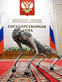 Пленарное заседание Государственной думы (ГД) России