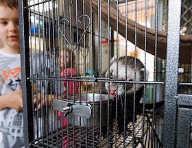 Работа городского детского экологического центра в парке усадьбы Харитоновых-Расторгуевых в Екатеринбурге