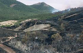 Последствия пожара в Коктебеле рядом с Карадагским природным заповедником