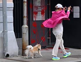 Вход в посольство Литвы в Москве облили красной краской