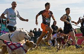 Cross 'Fast Dog'. Dogs and their owners covered a distance of 2 km along a dirt track in Bitsevsky Park. The race was held with the support of the Moscow Government and the Moscow City Sports Department