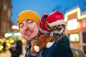 Жанровые фотографии. Открытие катка на Конюшенной площади