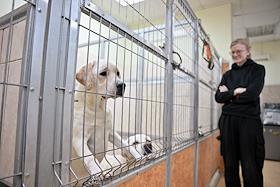 Репортаж про собак-проводников для незрячих людей