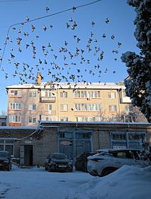 Жанровые фотографии. Виды Великого Новгорода