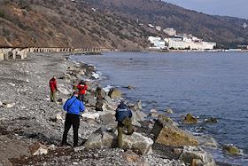 Сотрудники МЧС проверяют побережье после выброса нефтепродуктов из потерпевших бедствие двух танкеров 'Волгонефть' в Керченском проливе