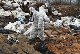 Ликвидация последствий разлива нефтепродуктов из-за потерпевших бедствие двух танкеров 'Волгонефть' в Керченском проливе днем 15 декабря 2024 года. Собранный после крушения танкеров мазут, смешанный с песком, доставляется на специальные площадки в Щелкино. Из смеси мазута с песком будут производить удобрения для аграриев