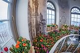 Press breakfast in the Duma Tower (Nevsky prospekt, 33) dedicated to the opening of the tulip festival 'Spring on Heights'