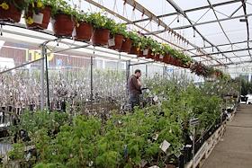 Презентация солнечной электростанции на площадке обновленного после ребрендинга магазина 'Лемана ПРО' ('Леруа Мерлен') в Волжском. Работа магазина 'Лемана ПРО'