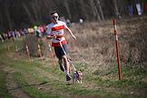 Race with dogs - cross-country 'Fast Dog' in the Bitsevsky Forest park
