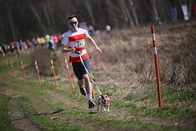 Забег с собаками – кросс 'Быстрый пес' в парке 'Битцевский лес'