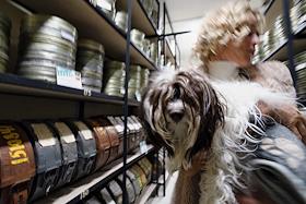 Всероссийская акция «Ночь музеев» в Екатеринбурге