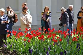 Открытие XIII фестиваля тюльпанов в Центральном парке культуры и отдыха (ЦПКиО) имени С.М.Кирова на Елагином острове