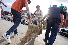 Праздничные мероприятия в день Курбан-Байрам в Красной соборной мечети в Томске